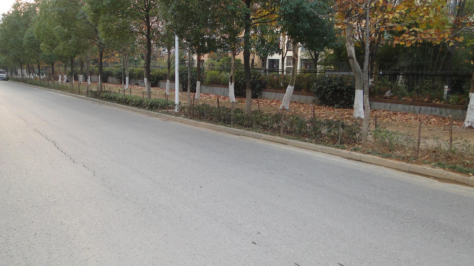 美丽科技园在行动