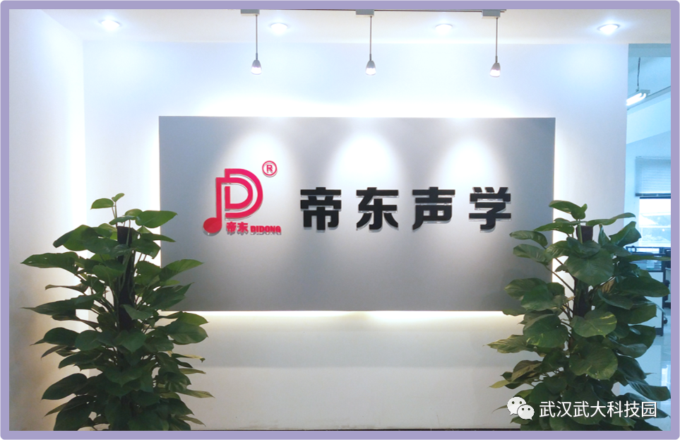 帝东科技——定向扩声