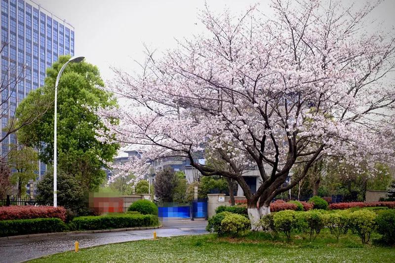 祝SendCloud八岁生日快乐