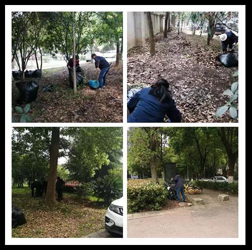 环境美化——信联新发展物业在行动